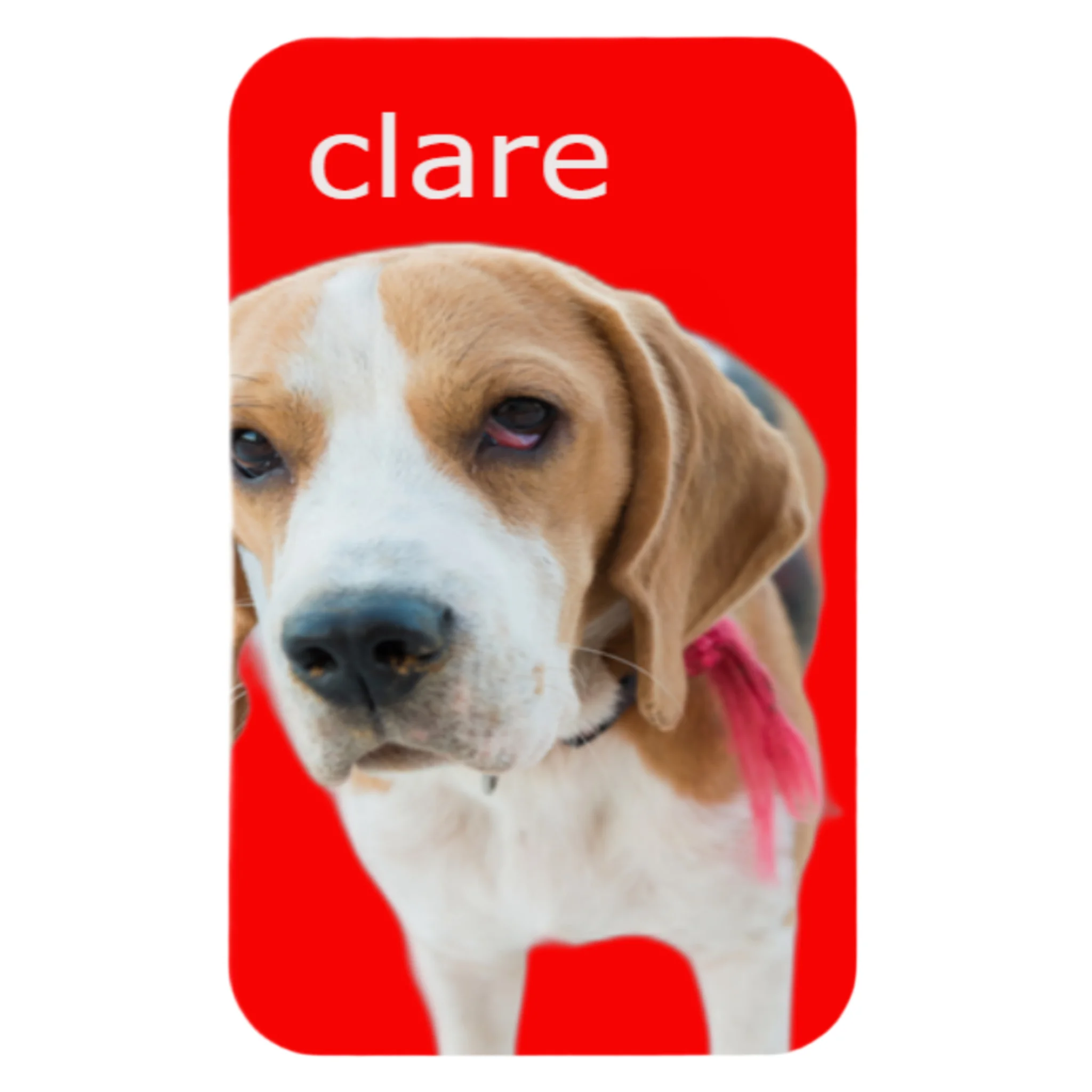 Bathroom mat personalized with pet photo