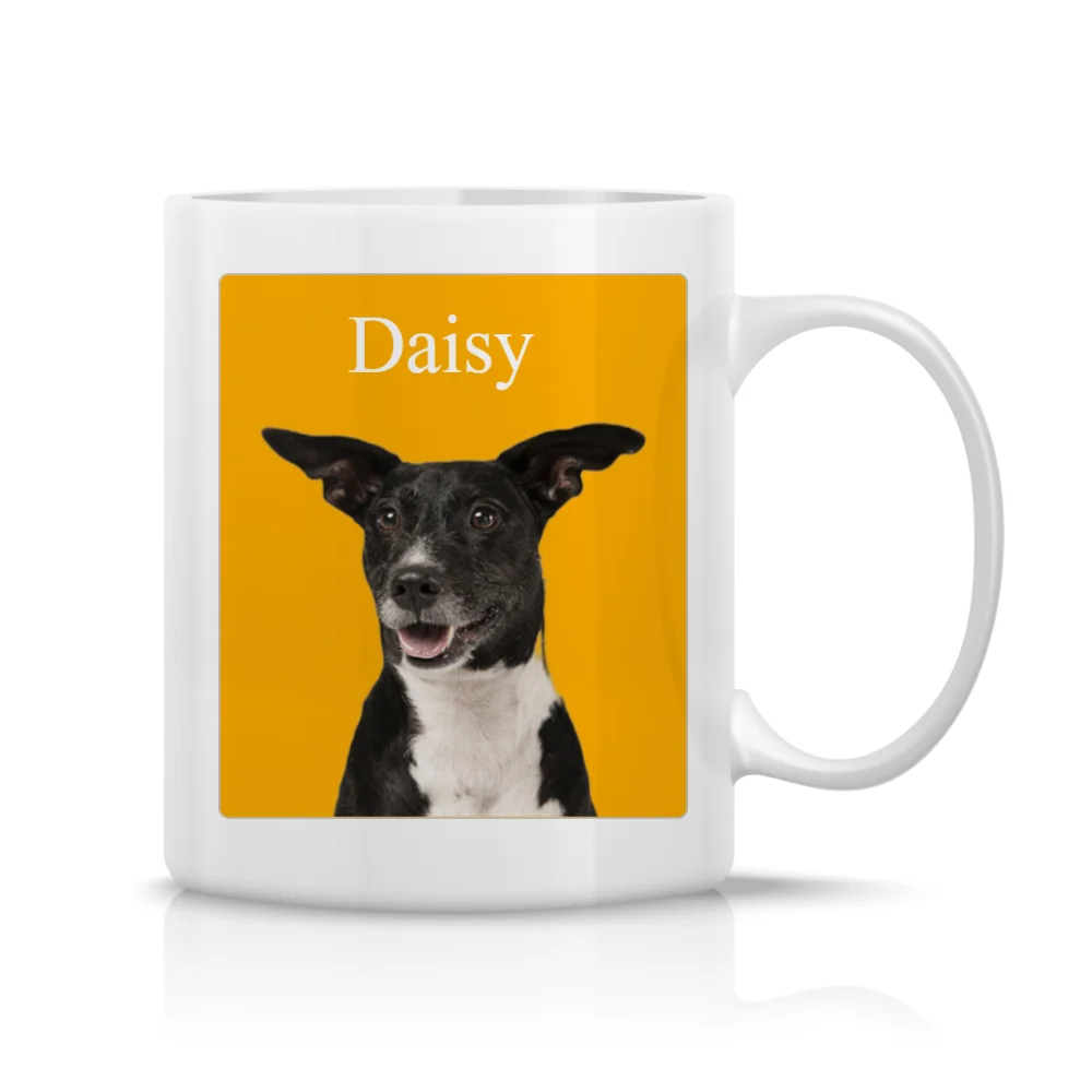 Personalized mug with pet picture