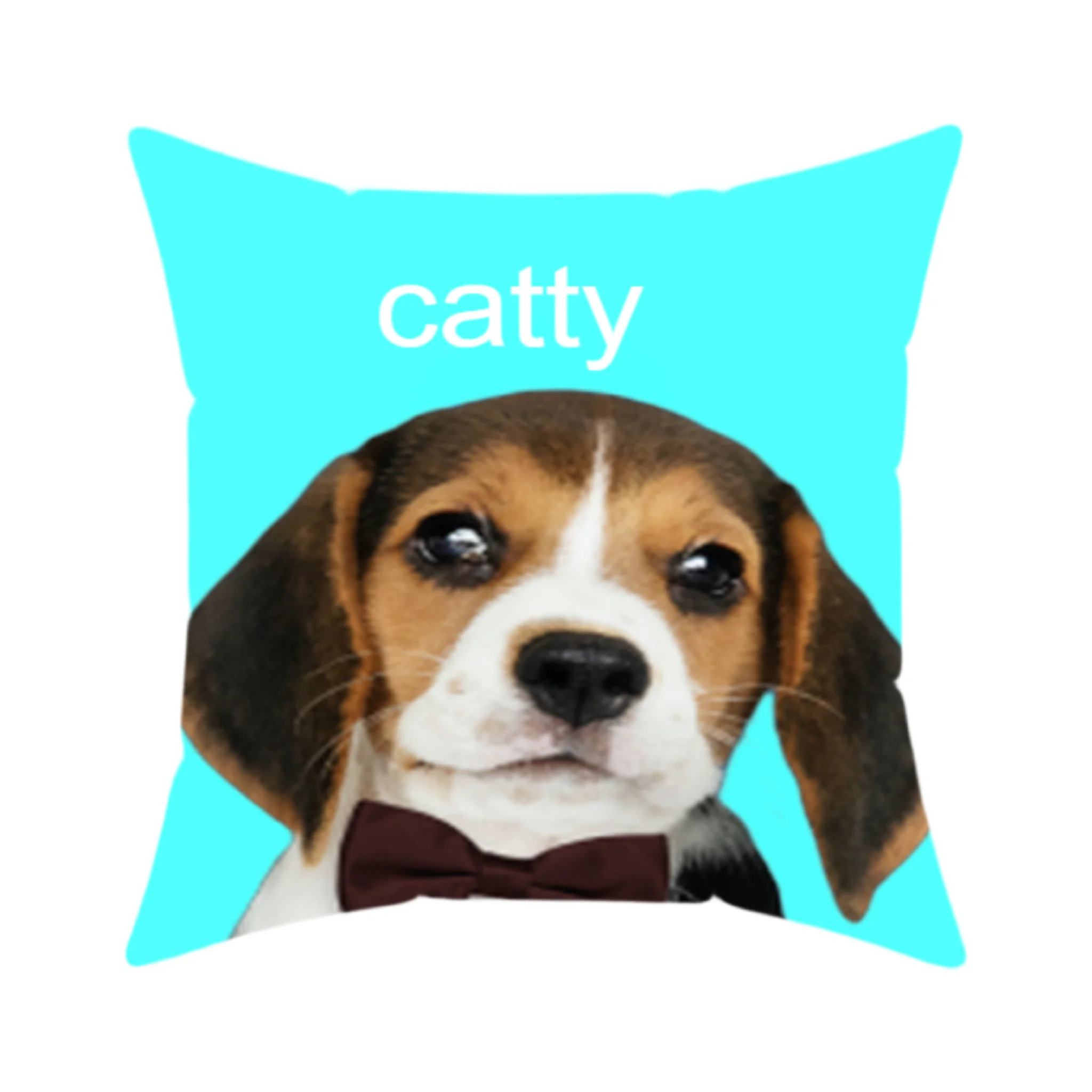 Custom throw pillow to snuggle with your pet’s image